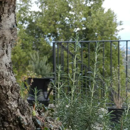 Villalfonsina Country House Ξενοδοχείο *